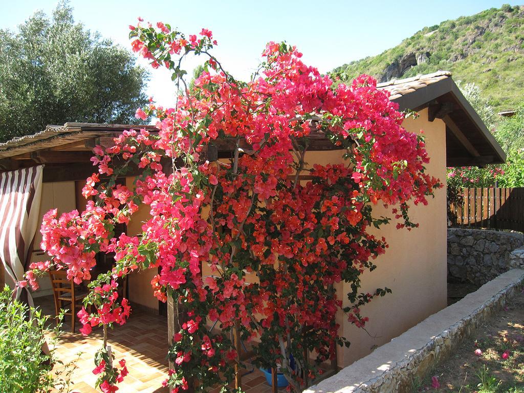 Family Resort Cala Di Luna Marina di Camerota Εξωτερικό φωτογραφία